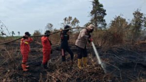 Karhutla Hanguskan 10 Hektare Lahan di Rupat Bengkalis, Tim Gabungan Terus Lakukan Pendinginan