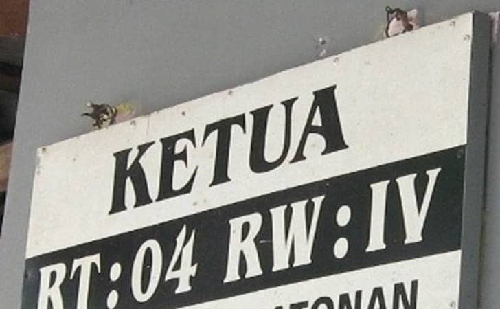 Terbongkar di Pulau Lumu-Lumu, Dugaan Manipulasi Jabatan Ketua RW