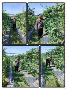 AIPTU Asyari bersama Petani Giat Pengecekan Pekarangan Pangan Bergizi Dalam Rangka Dukung Ketahanan Nasional 